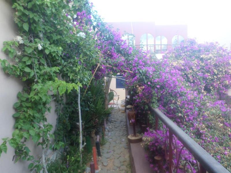 Riad Le Lieu Тизнит Экстерьер фото